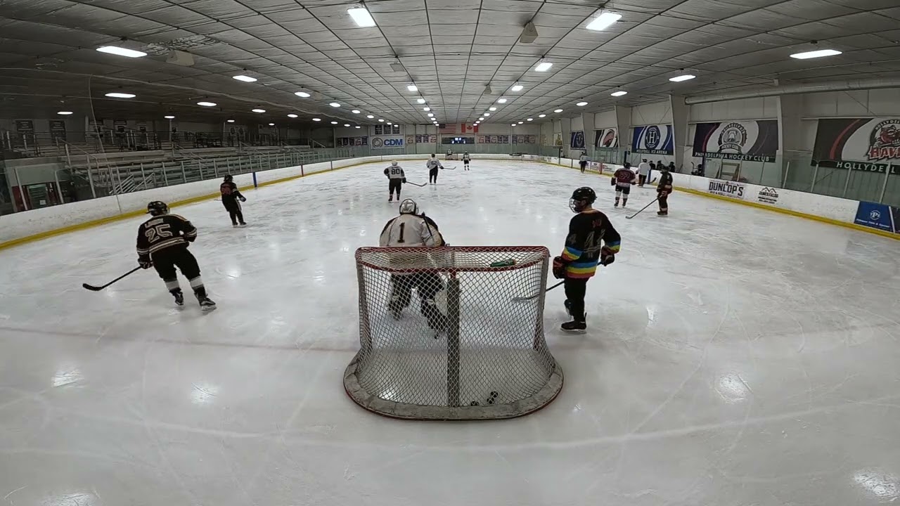 Morning Shinny Hollydell 2/19/2026