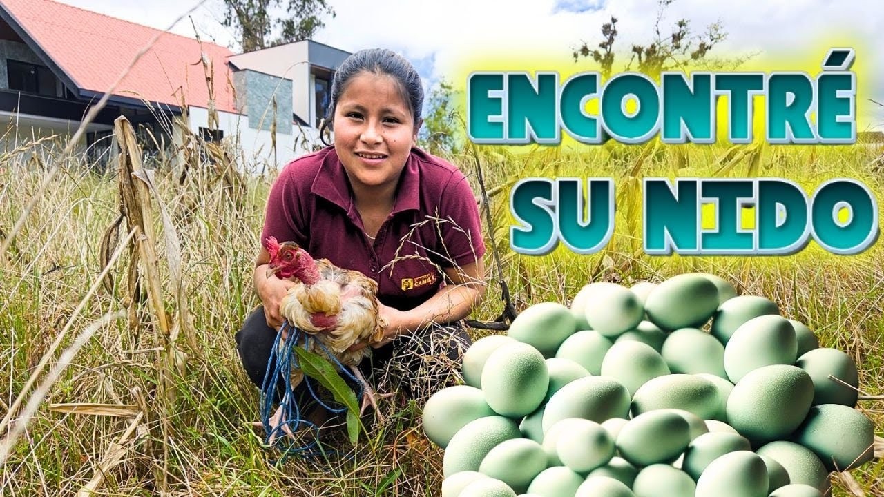 Encontré a mi gallina abarcando en el monte - Dalyla