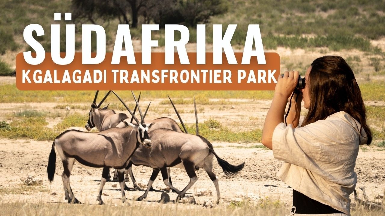 Kgalagadi Transfrontier Park Tag 1 🇿🇦 Unterwegs in Südafrika | Camping Roadtrip