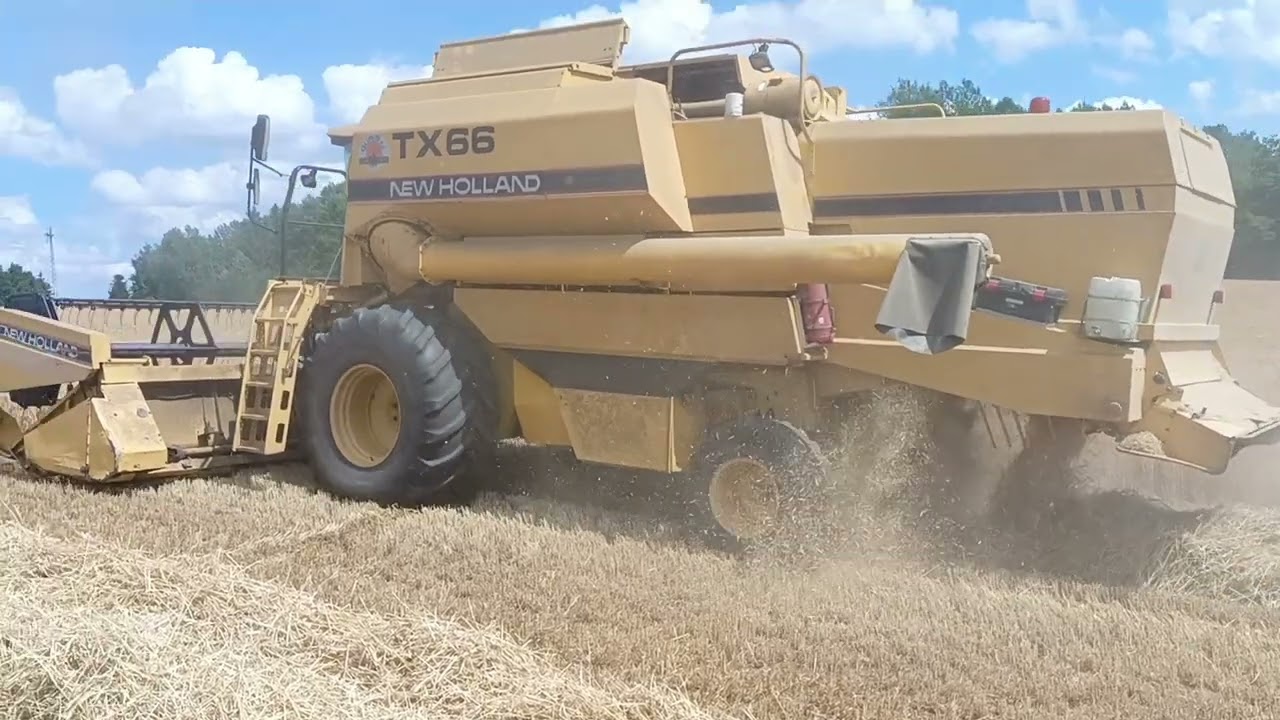 Żniwa jęczmienne na Kaszubach 2024 r New Holland Tx66