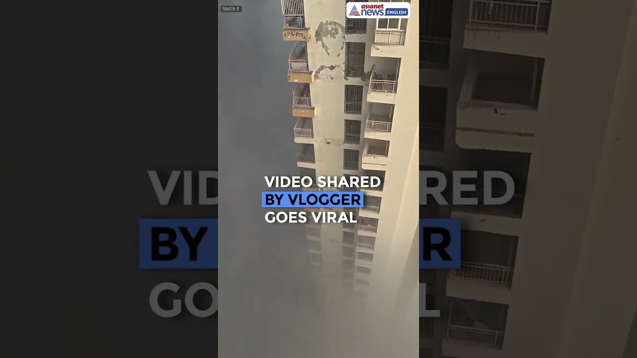 Delhi NCR Smog Shocker: Vlogger&rsquo;s Video Exposes Alarming Air Pollution