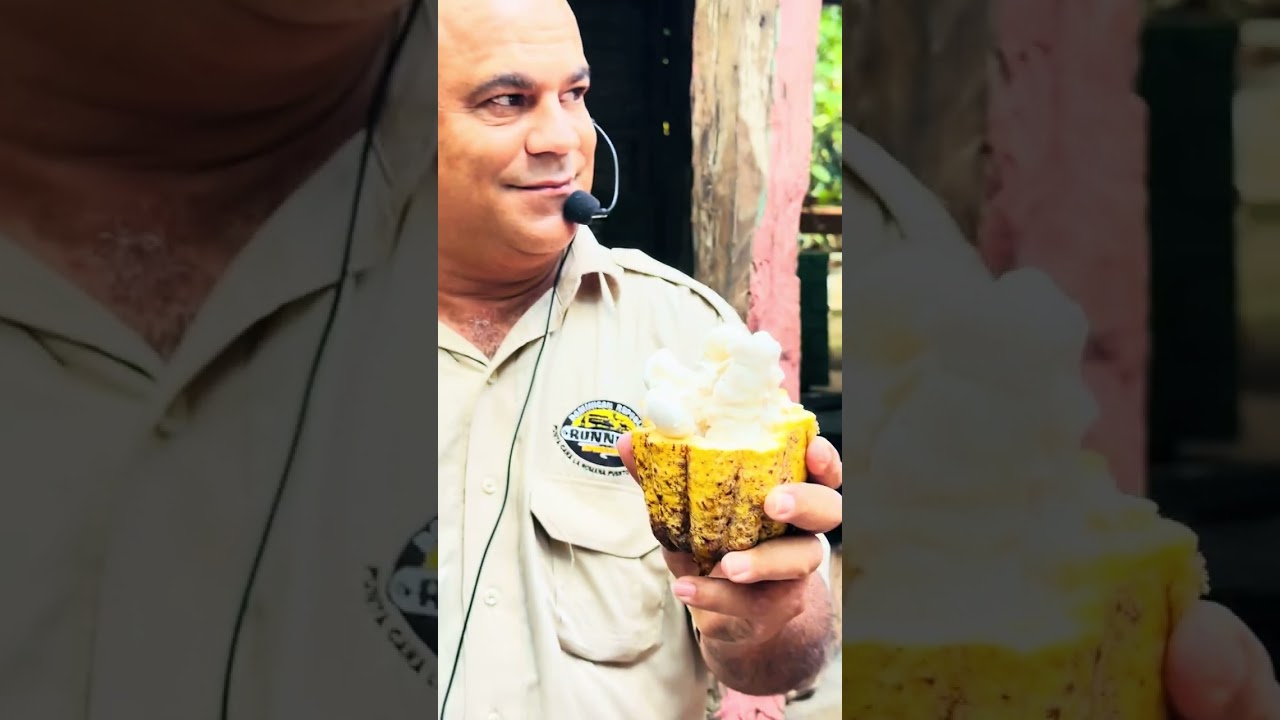 Dec 2025， 多米尼加共和国🇩🇴 纯天然巧克力的制作过程