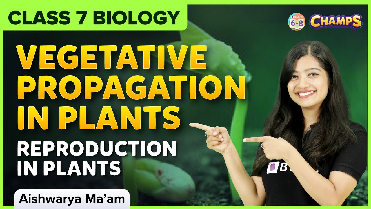Vegetative Propagation in Plants | Reproduction in Plants | Class 7 CBSE