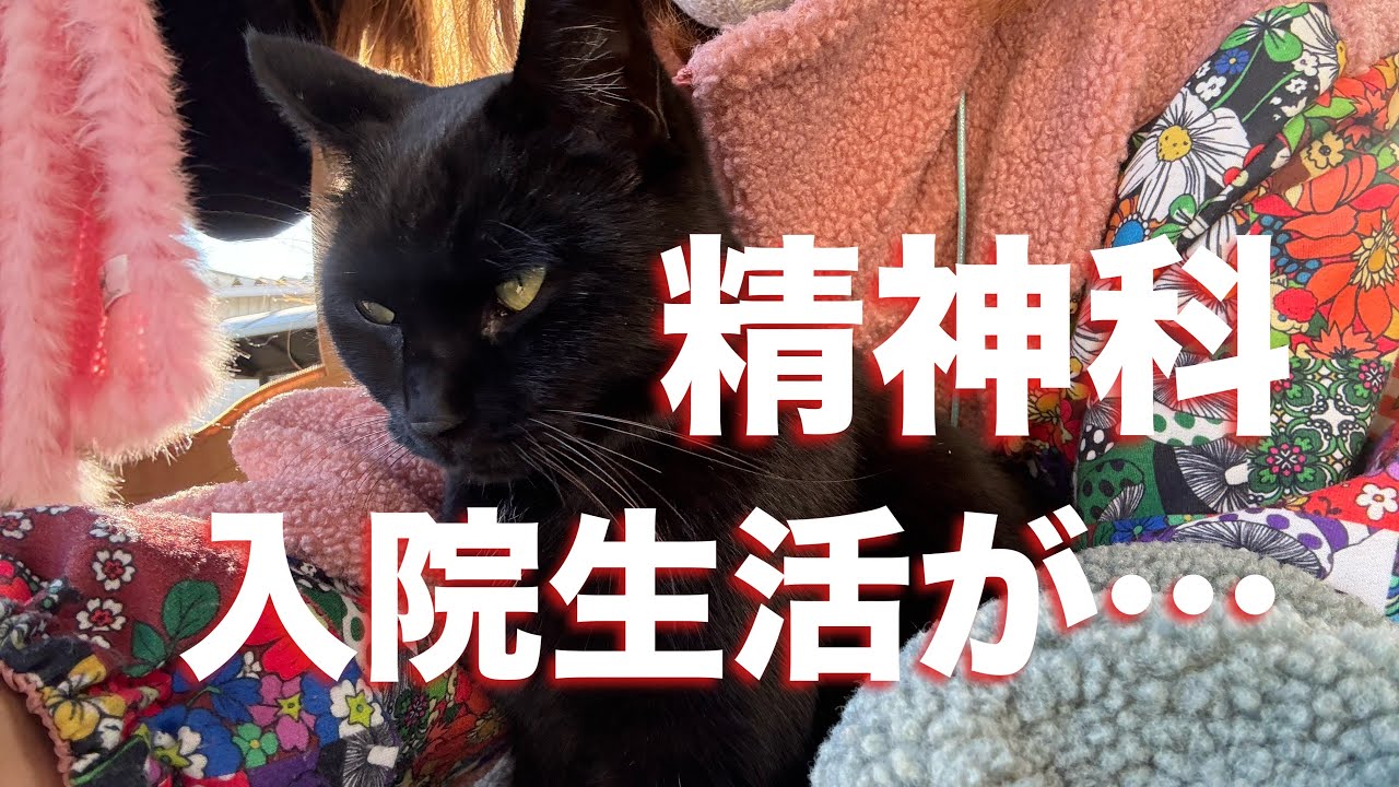 閉鎖病棟　ストレスで全身の痛みが悪化　治療になってません。