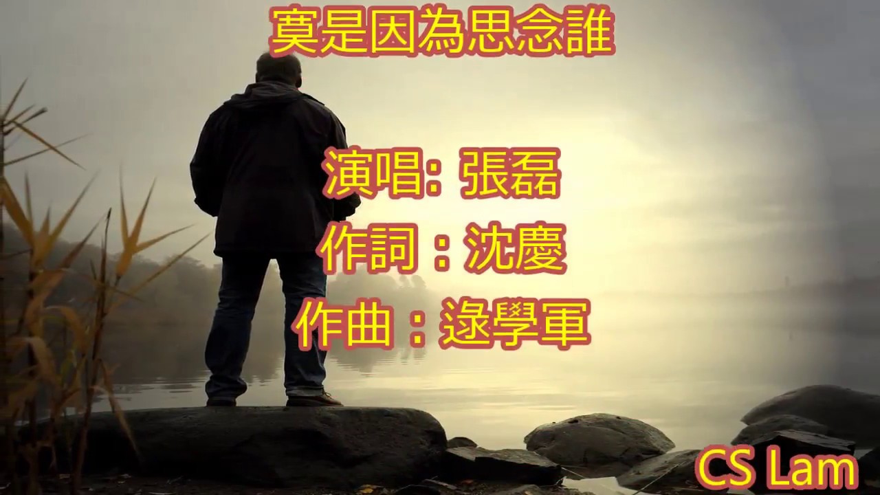 寂寞是因為思念誰(張磊)    Lonely Because of Whom to Ponder (Zhang Lei)