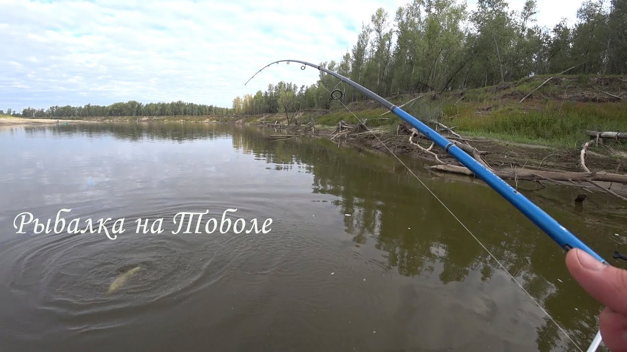 Один с Ночевкой на Рыбалке. Река Тобол. Карбаны. Подготовка к Соревнованиям Тюменский спиннинг.
