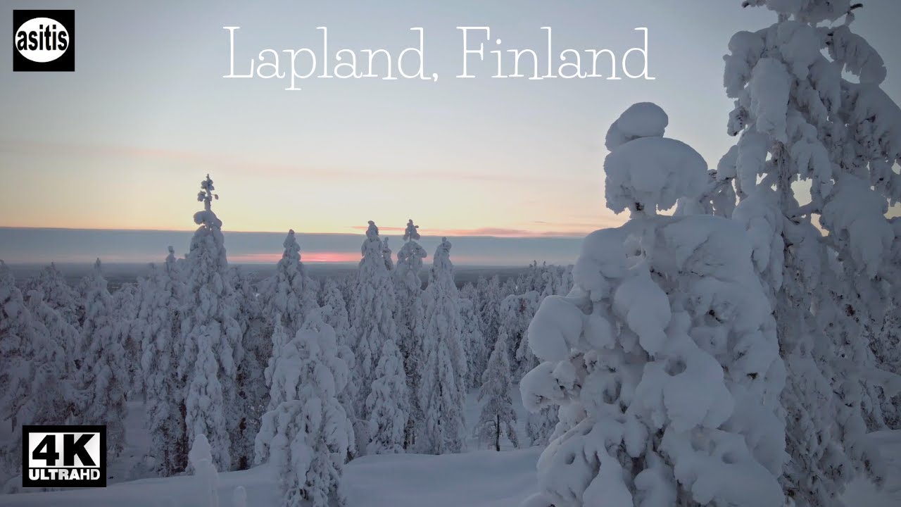 Snowy Frozen Trees and Crunchy Snow | Relaxing Walk