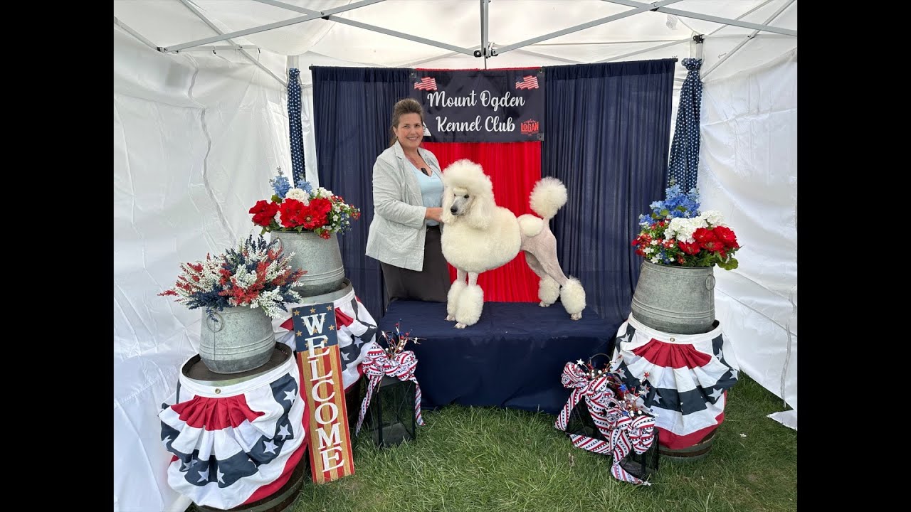 Logan, UT Dog Shows