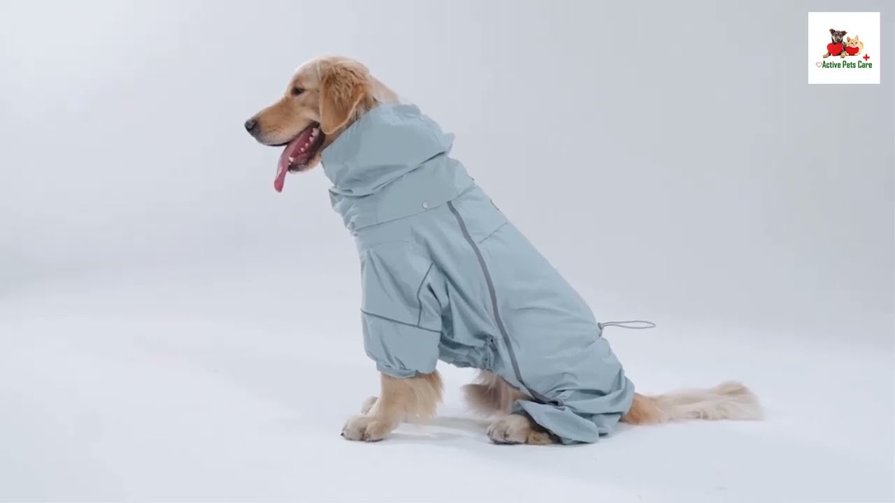 Woofo Full Coverage Dog Raincoat Review