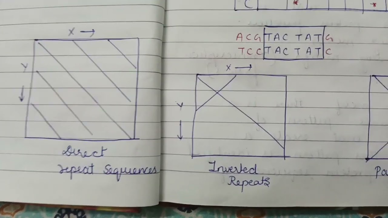 Dot Plot Matrix