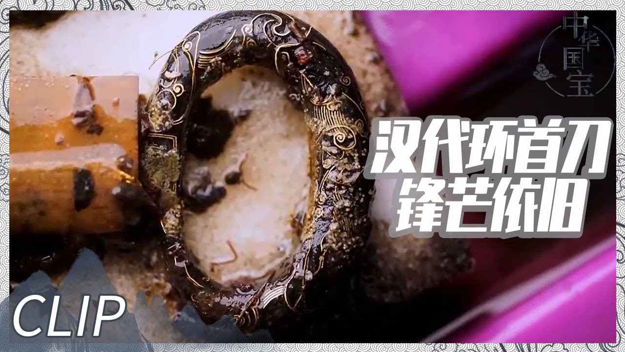 一文人汉墓惊现鼎鼎大名的环首刀！造工精致令人赞叹——琅琊汉墓发掘记 （二）《考古进行时》| 中华国宝