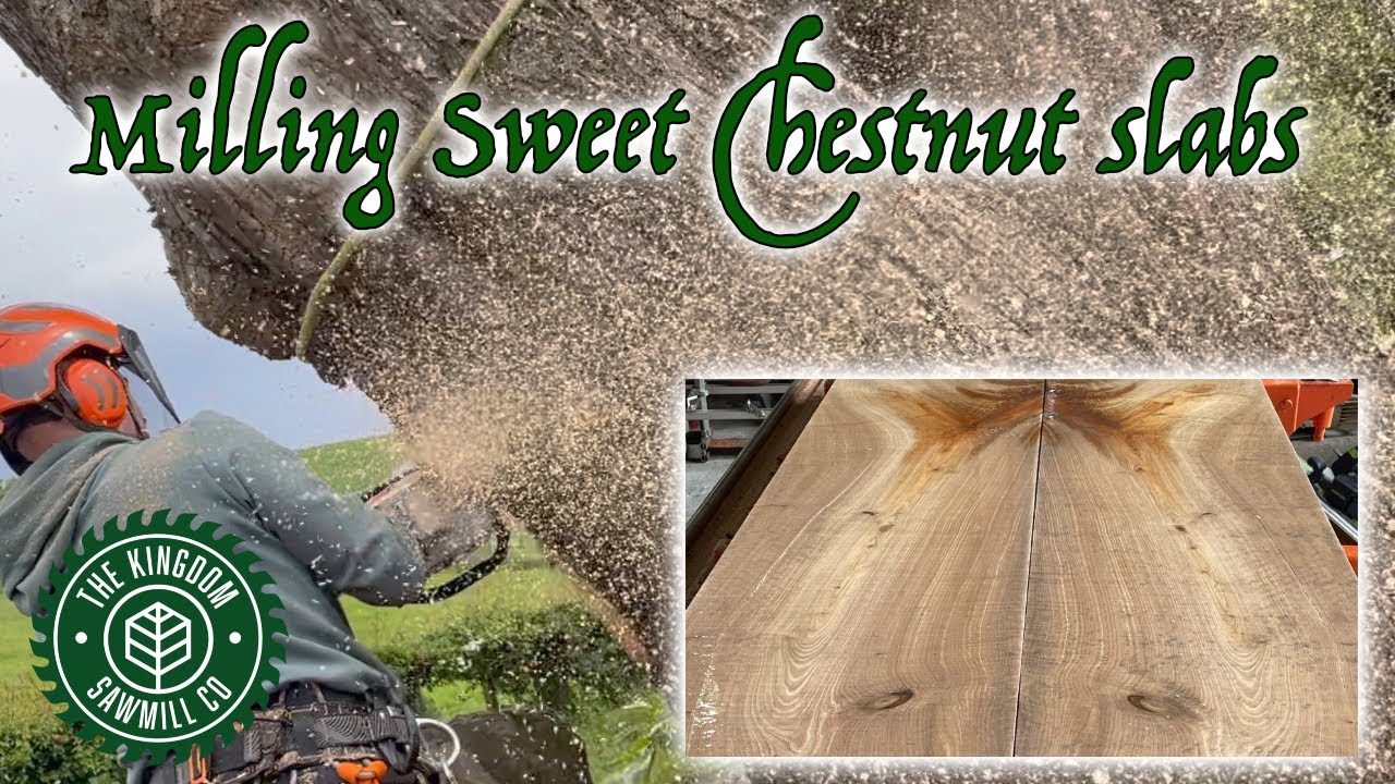 Milling Sweet Chestnut slabs with Alaskan mill and Woodmizer LT40 Wide