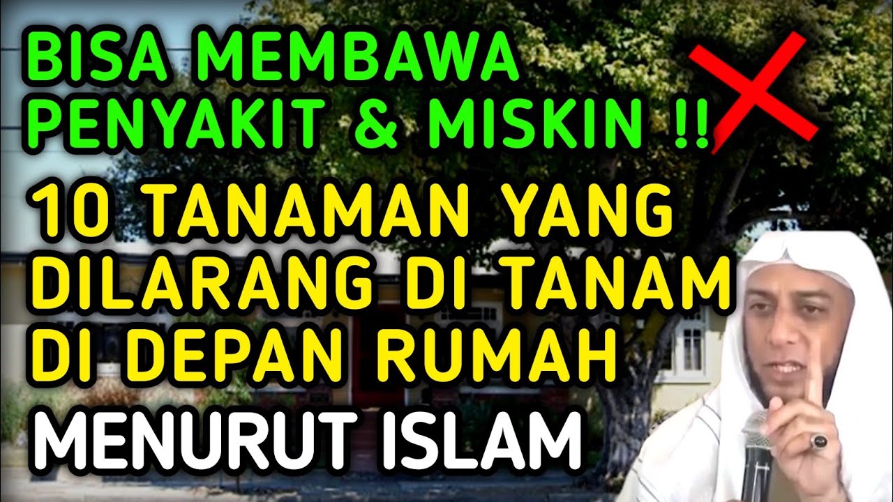 HATI-HATI !! INILAH 10 TANAMAN YANG DILARANG DITANAM DIDEPAN RUMAH MENURUT ISLAM