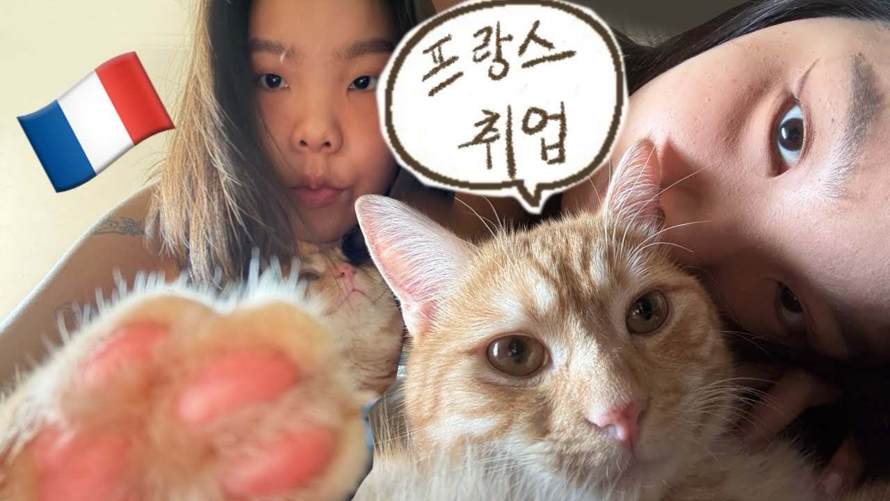 유학생에서 프랑스 직장인까지 🇫🇷 취업 준비부터 면접, 비자까지 총정리! 이제는 말할 수 있다🇫🇷 프랑스 취업 스토리, 면접&비자 팁 포함, 프랑스에서 외국인이 일하려면?