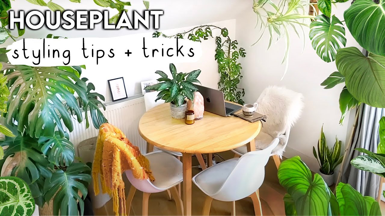 Amazing Plant Styling TIPS + TRICKS To Jungle-fy Your Home 🌿