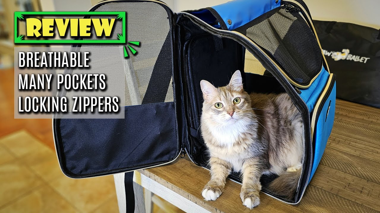 Paw Ballet Cat Backpack Carrier: Experts' Favorite Choice
