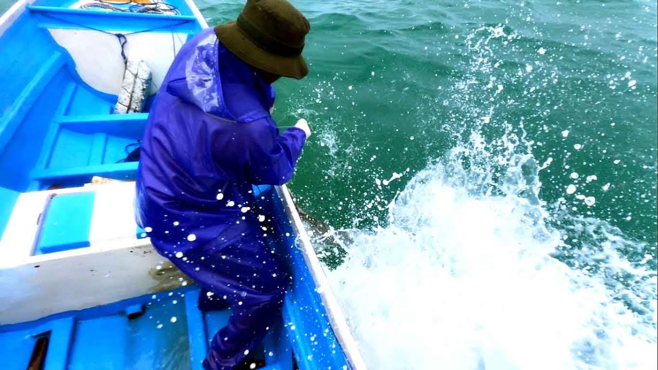 Tenggiri monster ini membuat pemancing kewalahan.