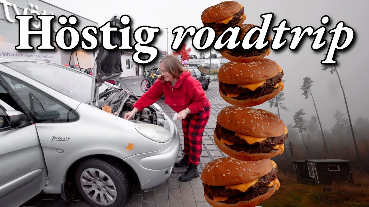 Roadtrip till Norrland i november 🍁 fika, höstdimma & stugliv 🏚️✨