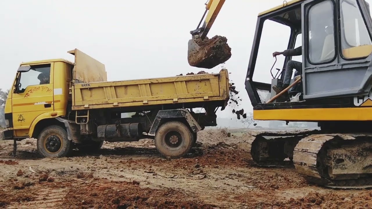 Beautiful Green Frog in Natural Environment | Relaxing Video#foryou #excavator 