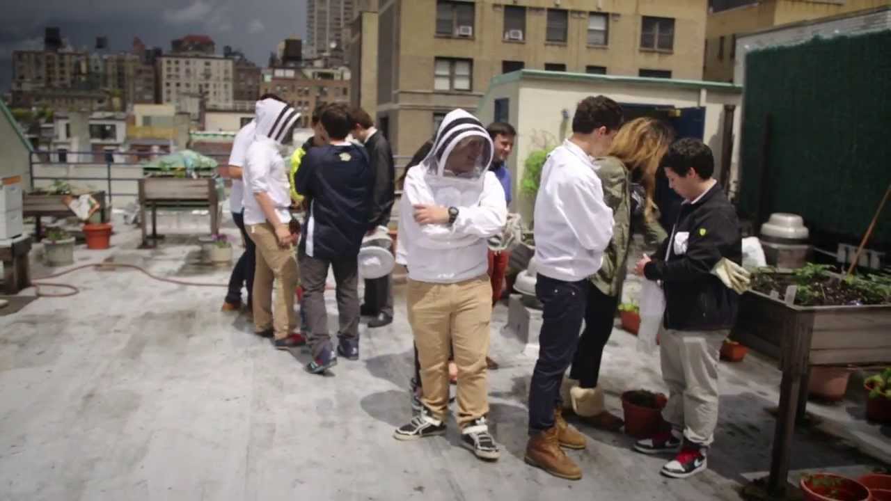 A Day at York Prep School in NYC