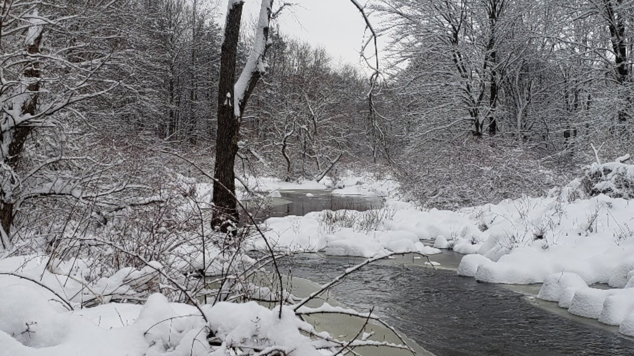 Erie Steelhead Fishing - Fishing Through Snow and Ice