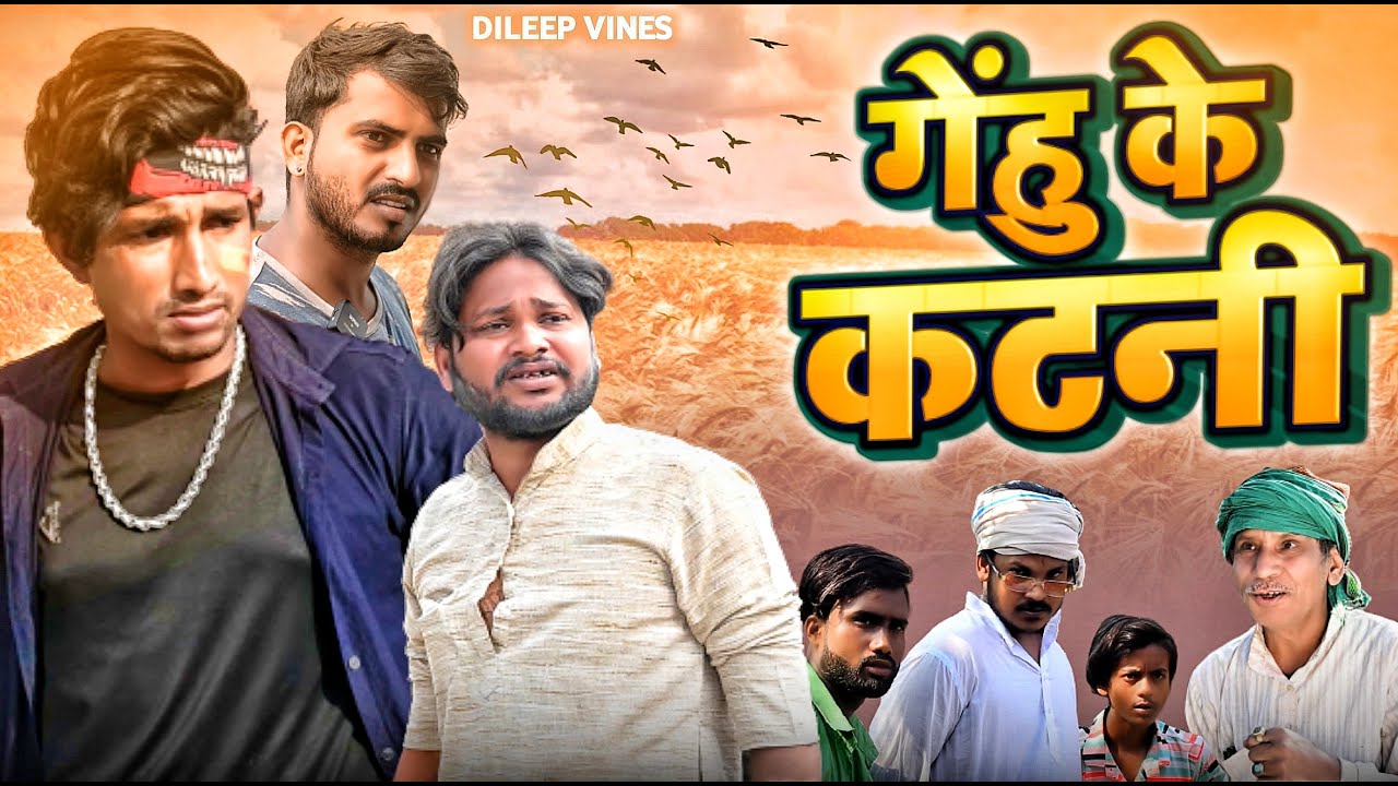 गेंहु के कटनी | Gehu Ke Katni | Dileep Vines #manimerajvines  New Comedy Video