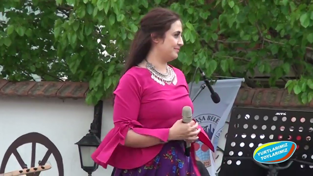 Fatma Meşe Öz   Ördeğime kaz diyorlar