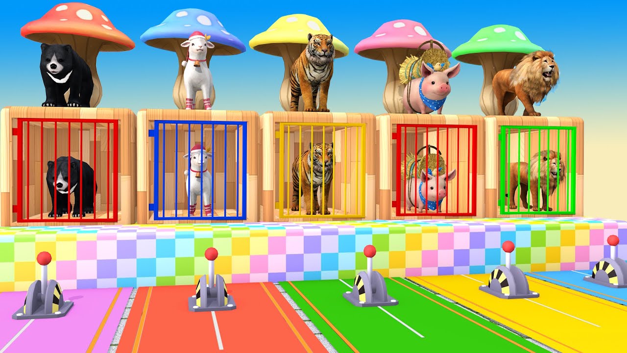 Long Slide Game With Cow Elephant Gorilla Hippopotamus Tiger - 3d Animal Game - Funny 3d Animals