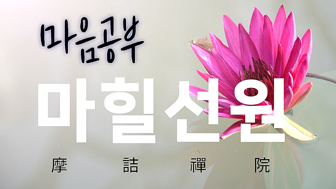 마힐선원 [유마경] 2026년 3월 14일 28