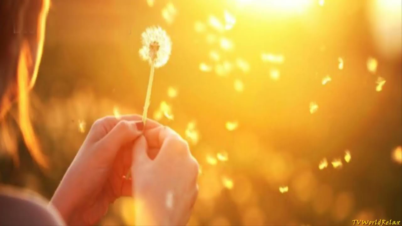 Musica per pulire  la casa e Eliminare l&rsquo;energia Negativa dello Spazio Domestico 2017  🎵♫