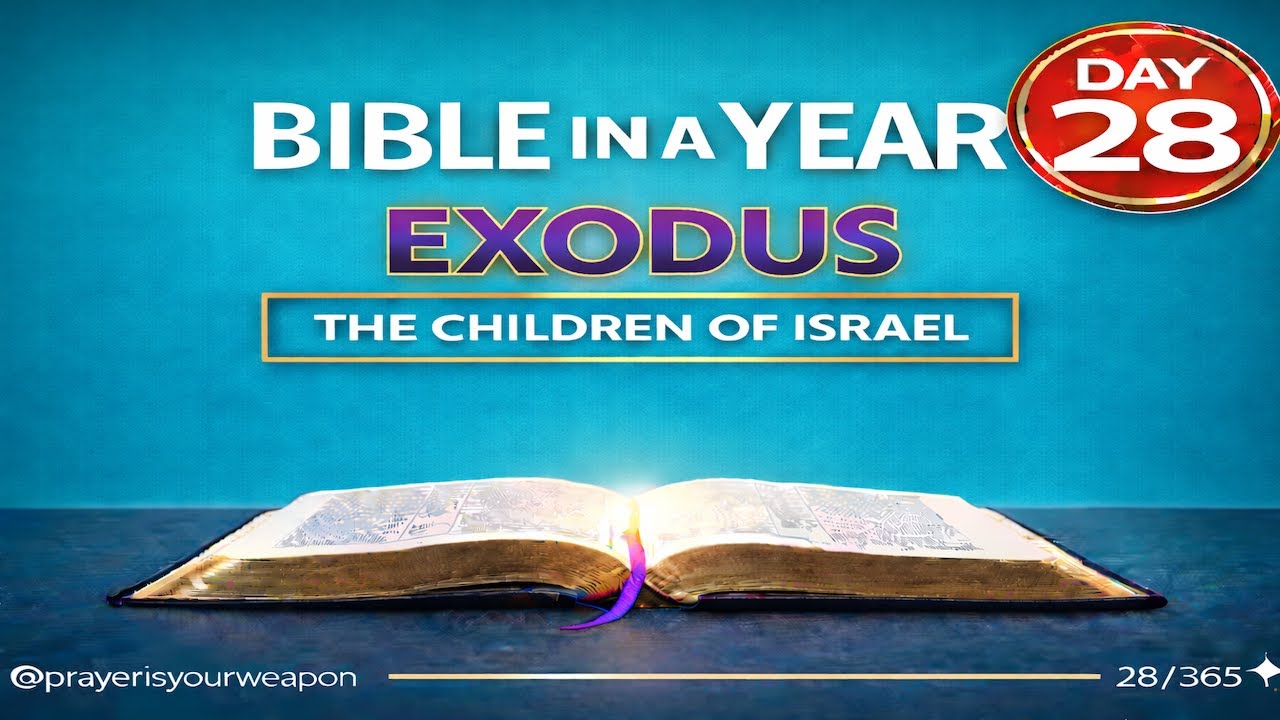 BIBLE IN A YEAR | Day 28: Exodus 28 - 29 - Holy Garments & The Priesthood
