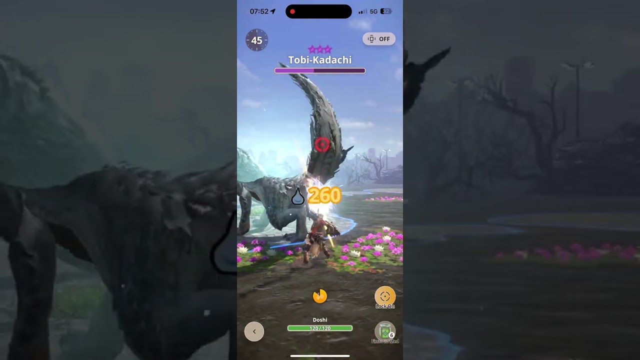 [MHN] SnS - 8* Tobi Kadachi 2