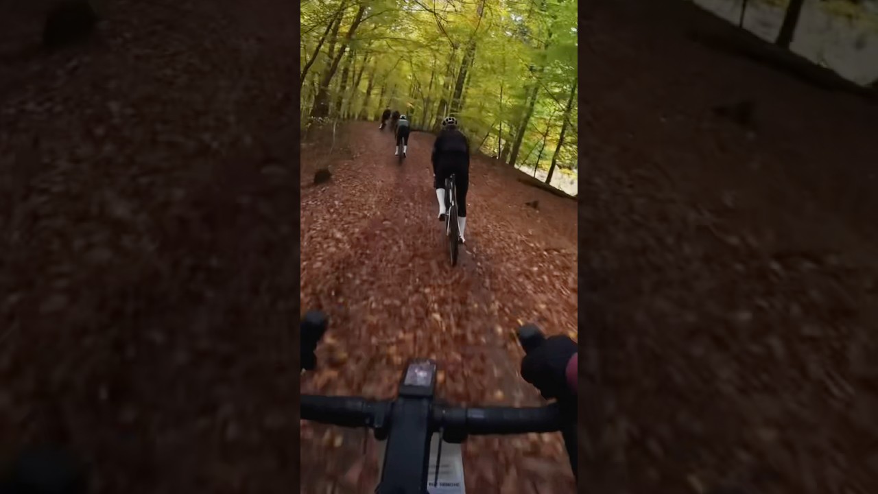 Gribben highs ☀️🍂🍁 #gravel