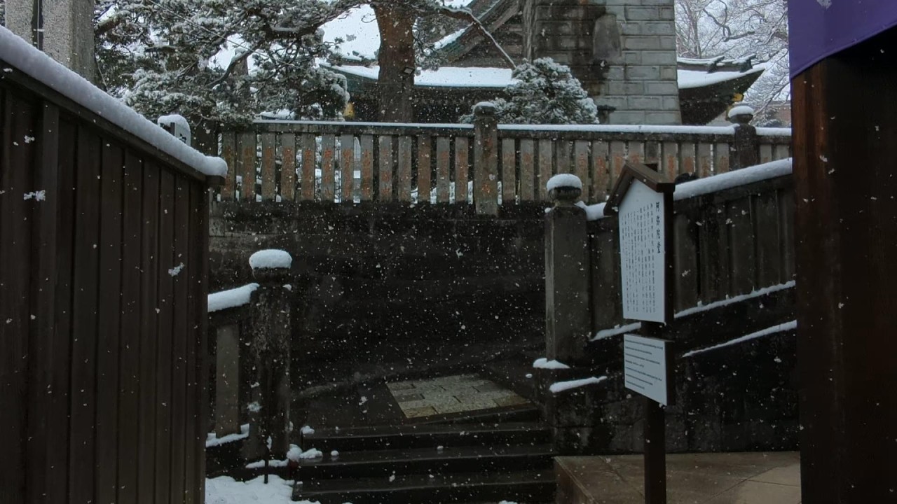 成田新勝寺一場大雪/20260208