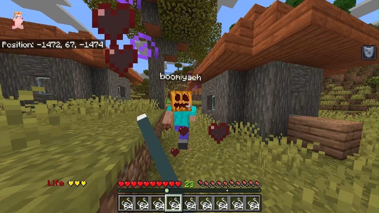 Minecraft_20260212230612