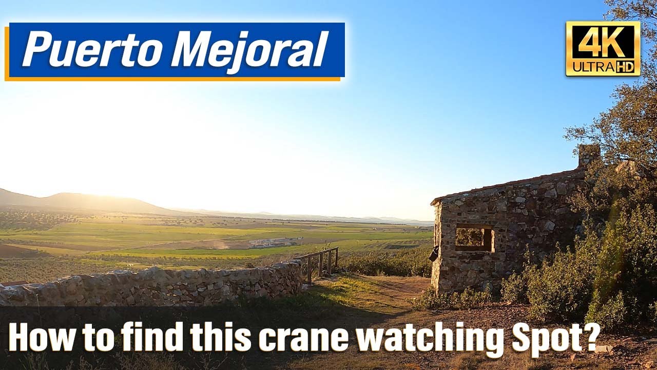 How to find the Crane Watching Spot: Puerto Mejoral (Extremadura, 4K)