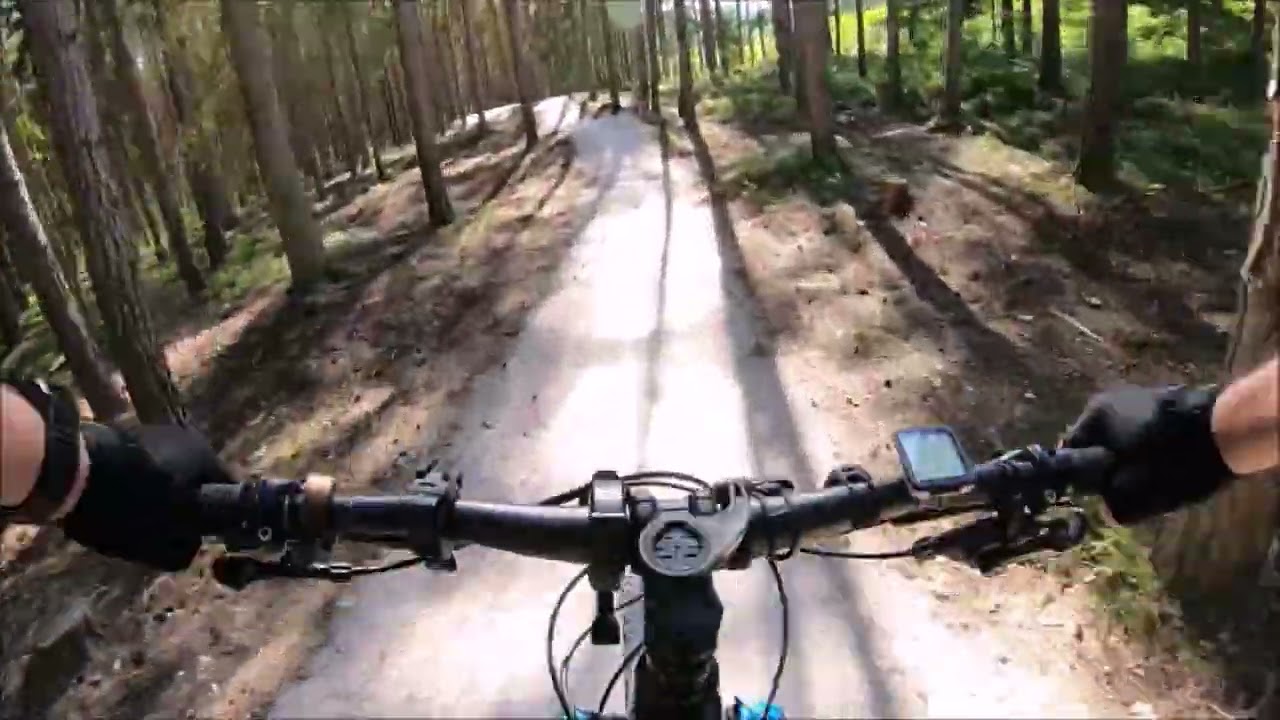 Trail: Plzeňsko - Senecký rybník - červená (2024-06)