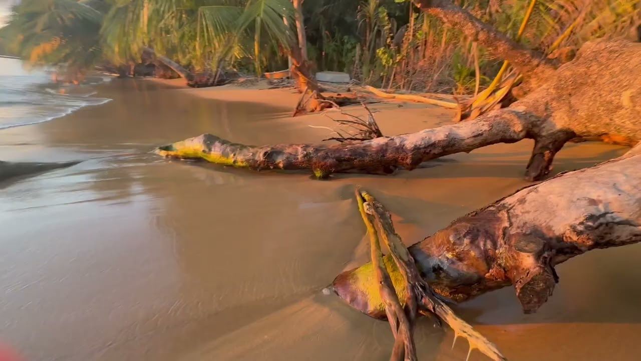 The Coast of Cabo Rojo