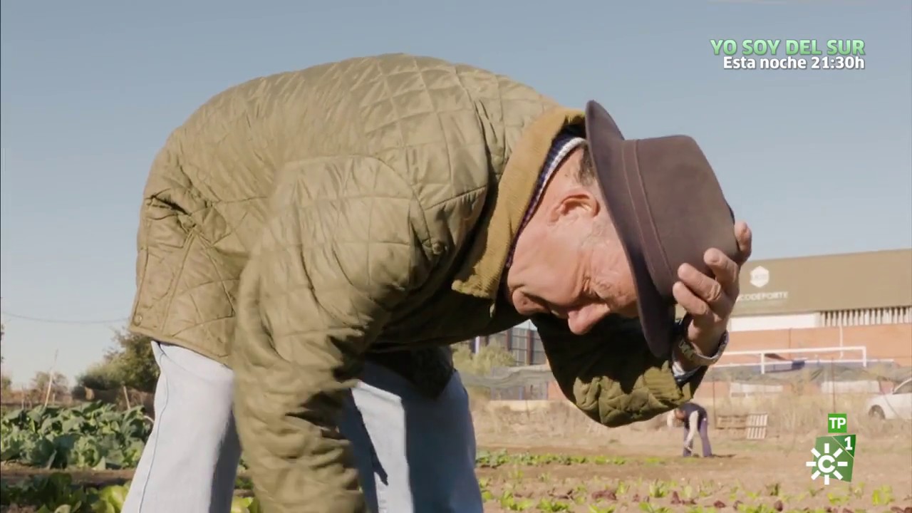 Campechanos |  Ganadería, aceituna aloreña, escuela de horticultura y piscifactoría
