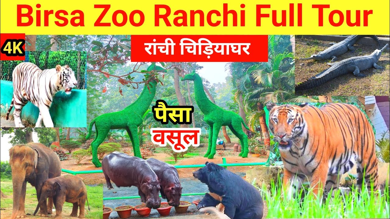 Birsa Zoo Ranchi Full Tour | Best Animal Encounters | Ranchi Zoo | राँची चिड़ियाघर @sapahitand 