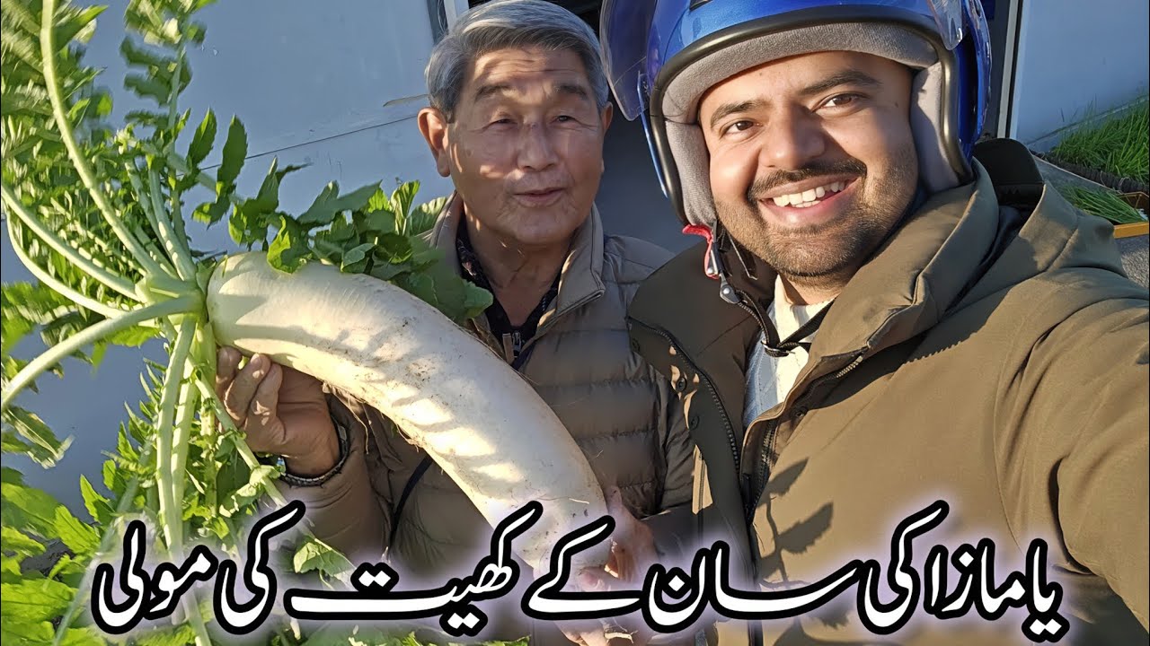 Yamazaki San k Kheet ki Mooli | Meet my Japanese Old Friend ❤️