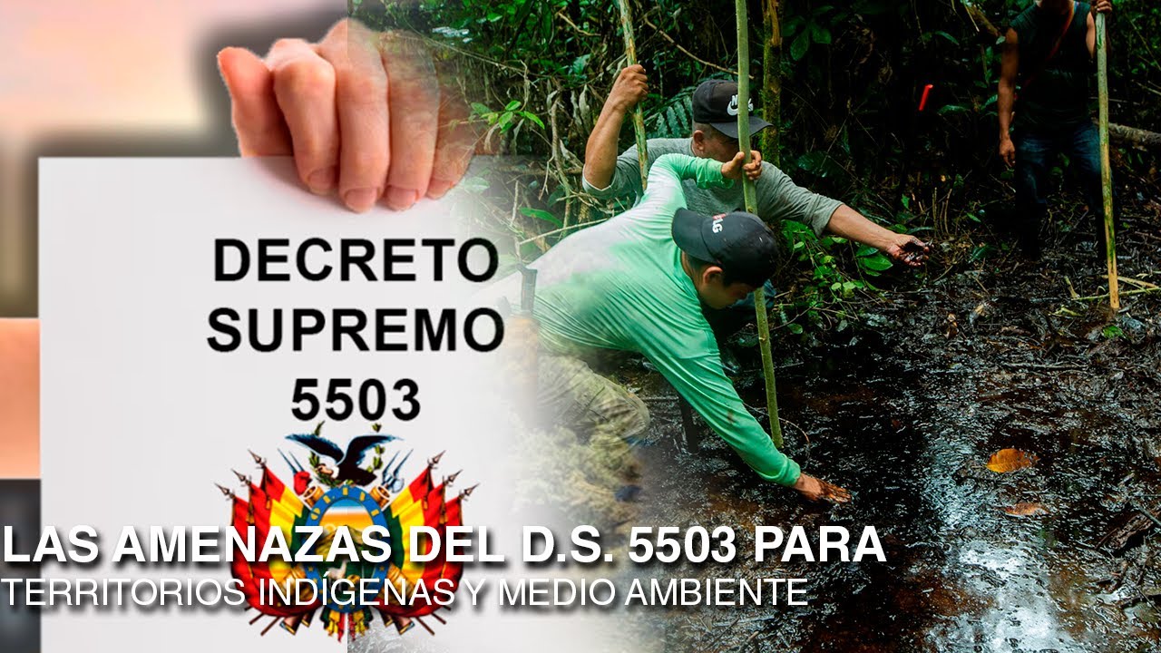 Experto explica que el DS 5503 es 