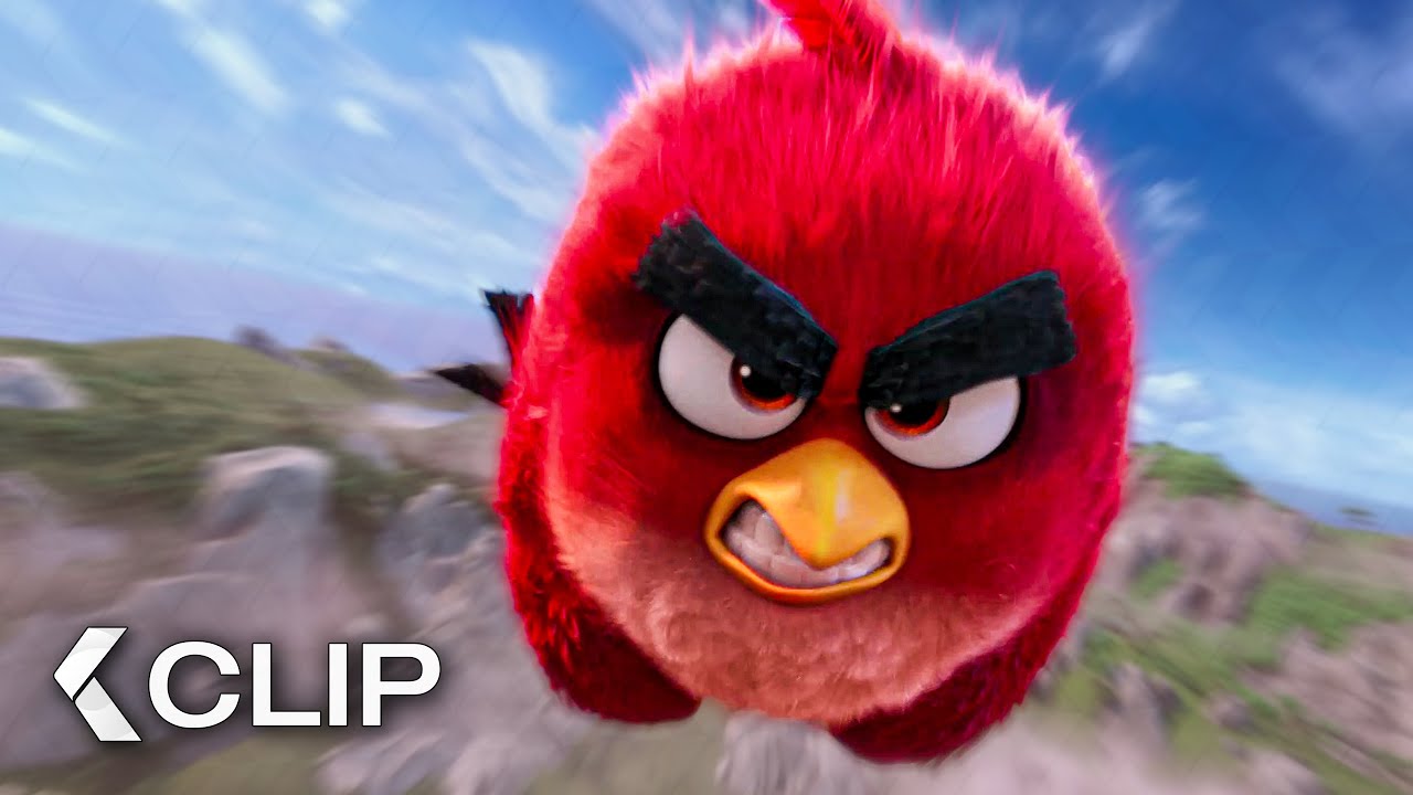 El plan de Red para detener al Cerdo - ANGRY BIRDS: La película Clip (2016)