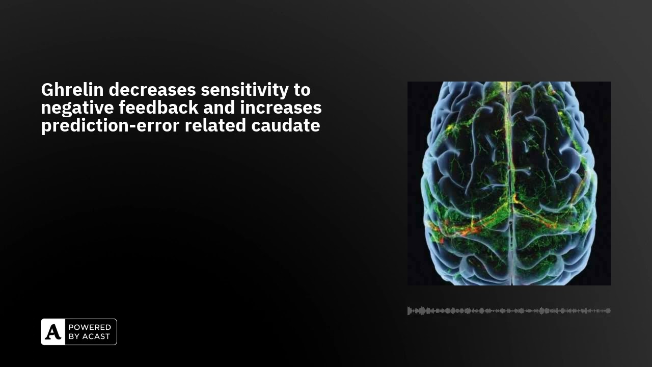 Ghrelin decreases sensitivity to negative feedback and increases prediction-error related caudate...