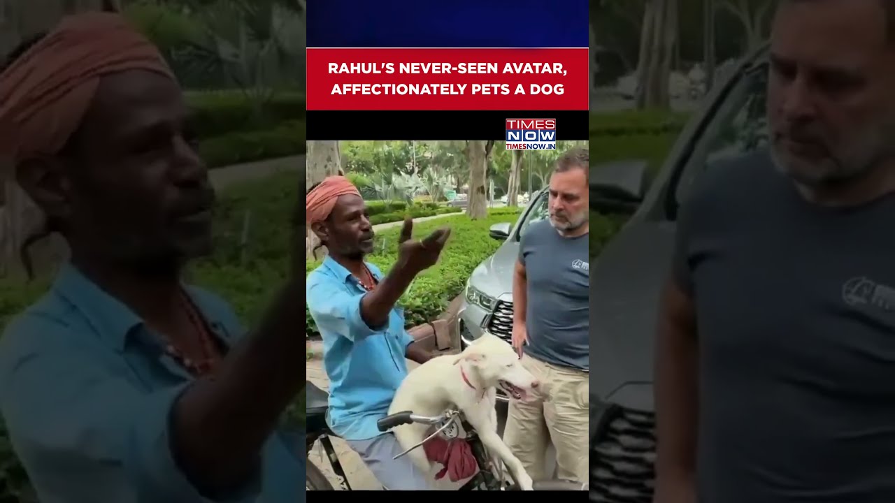Rahul Gandhi Affectionately Pets A Dog While Interacting With Its Owner, Video Goes Viral #shorts