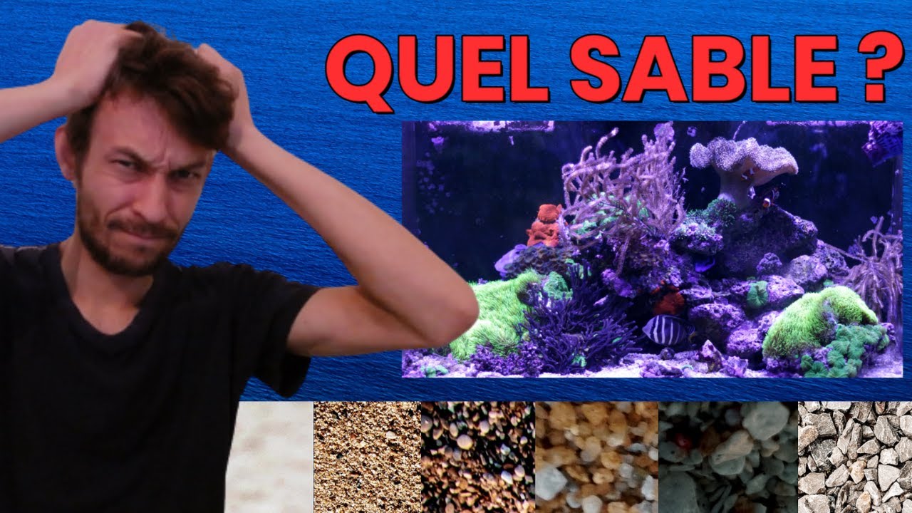 EP.5 Quel sable pour aquarium récifal choisir - Substrat pour eau de mer