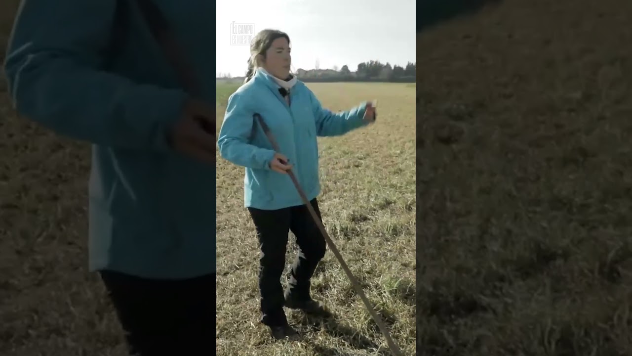 Importante llamamiento de Judit