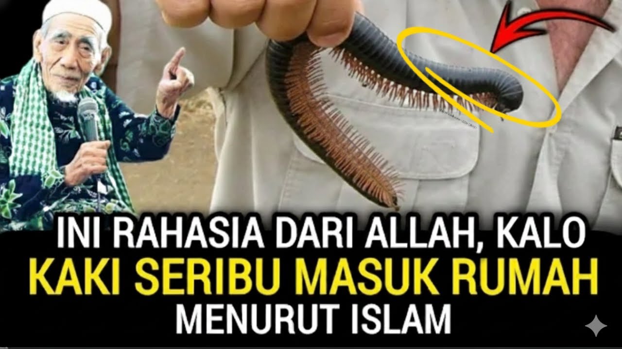 PERHATIKAN BAIK BAIK!! Ini Tanda Dari Allah Jika Kaki Seribu Masuk Rumah Kita Menurut Islam