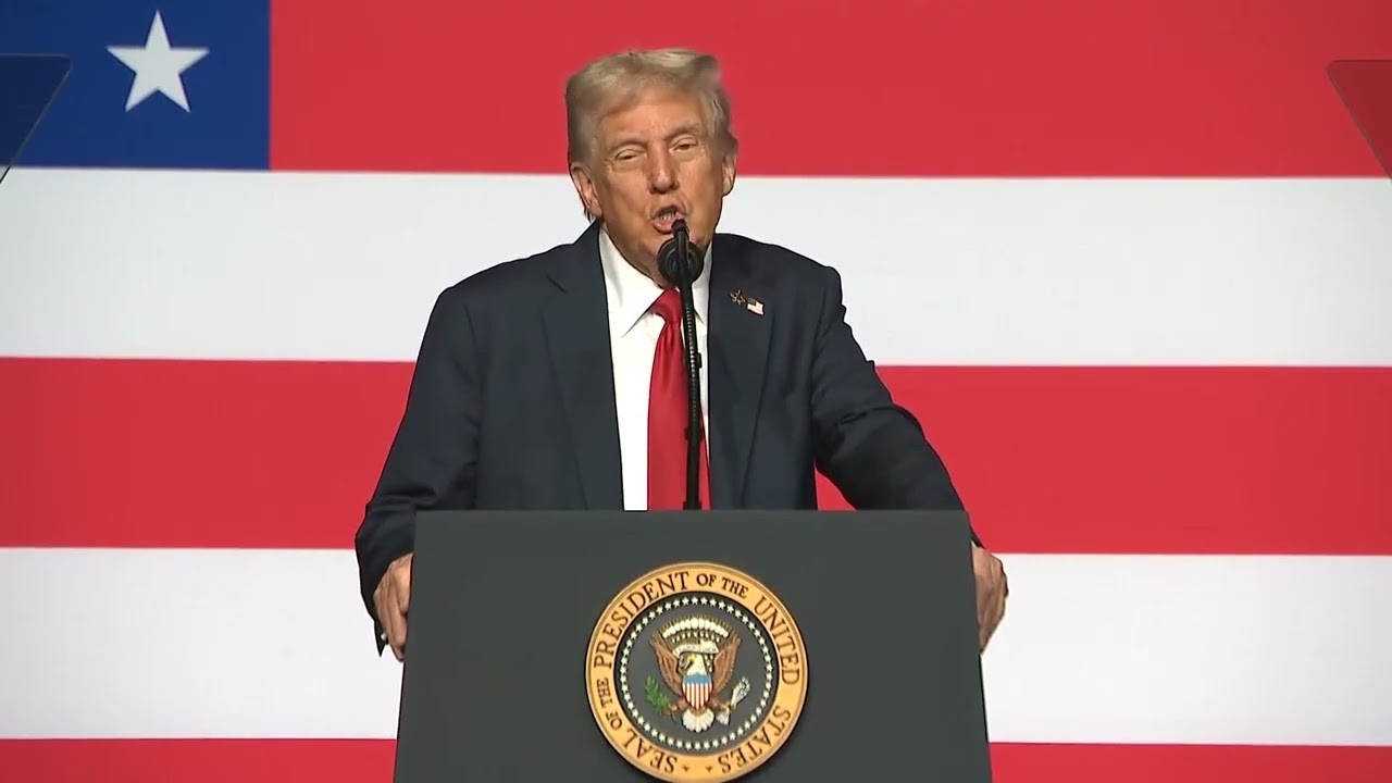 Donald Trump says there 'are two n words and you can't use either of them' during speech to military