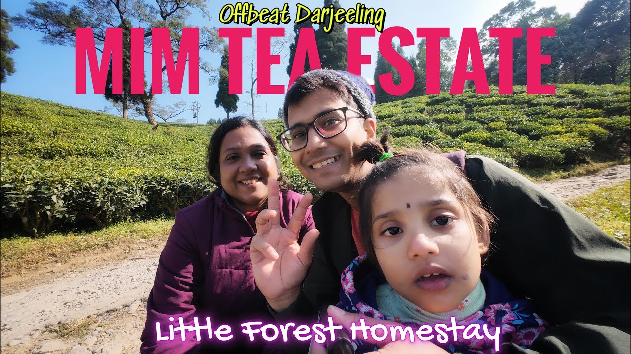 Mim Tea Estate | Offbeat Darjeeling | Little Forest Homestay @trekthedreams